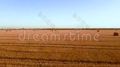 空中视野在田野上滚动干草堆稻草，收割小麦。 带着一捆干草的田园。 景观片段